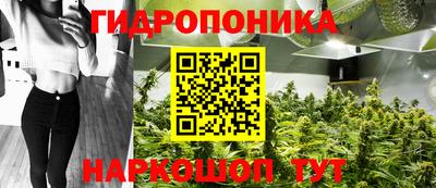 прущий лед Тверь