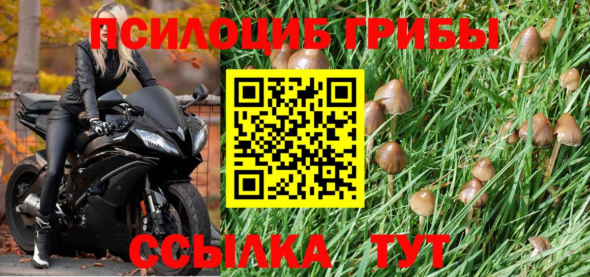 Нефтекумск  Галлюциногенные грибы ЛСД  Вход с VPN 