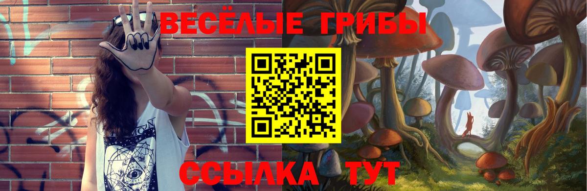 Галлюциногенные грибы прущие грибы Нефтекумск